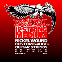 ERNIE BALL P02236