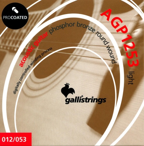 GALLI STRINGS AGP1253